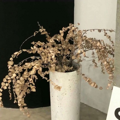 鹿邑FurryQQ群介绍